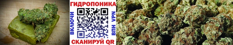 дарнет шоп  Заволжск  Canna-Cookies конопля 