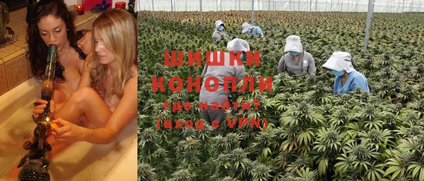 каннабис Алексеевка