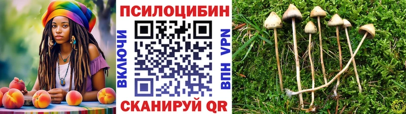 что такое   Заволжск  Псилоцибиновые грибы Magic Shrooms 